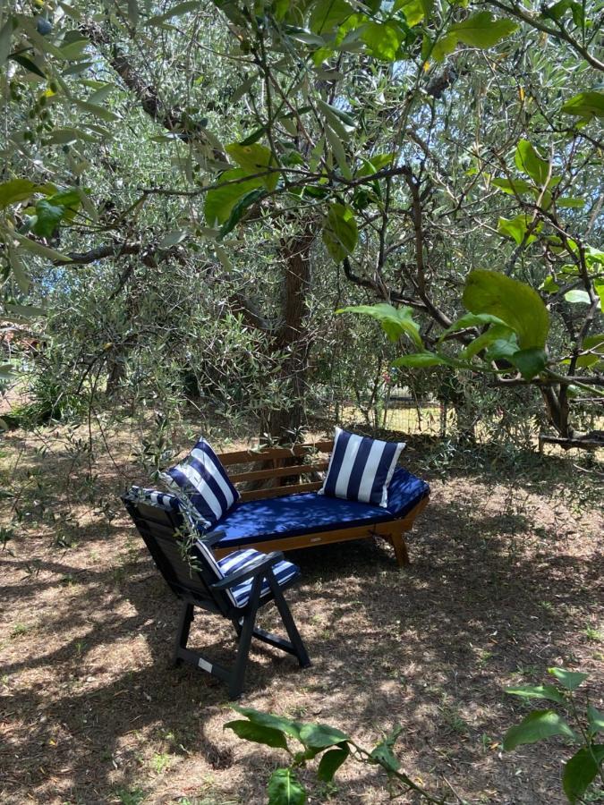 Ligurien Marina Dˋandora Ferienwohnung 100Qm Mit Meerblick מראה חיצוני תמונה
